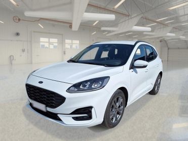 FORD KUGA 2.0 ECOBLUE 120 CV 2WD ST-LINE AUTO SUV