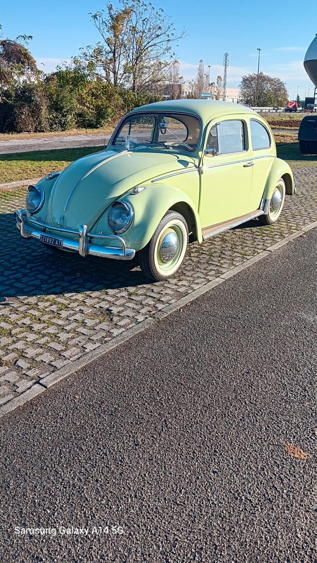 Volkswagen Maggiolino "Nasino"