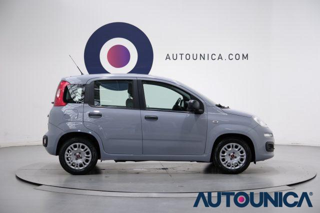 FIAT Panda 1.0 FIREFLY S&S HYBRID NEOPATENTATI