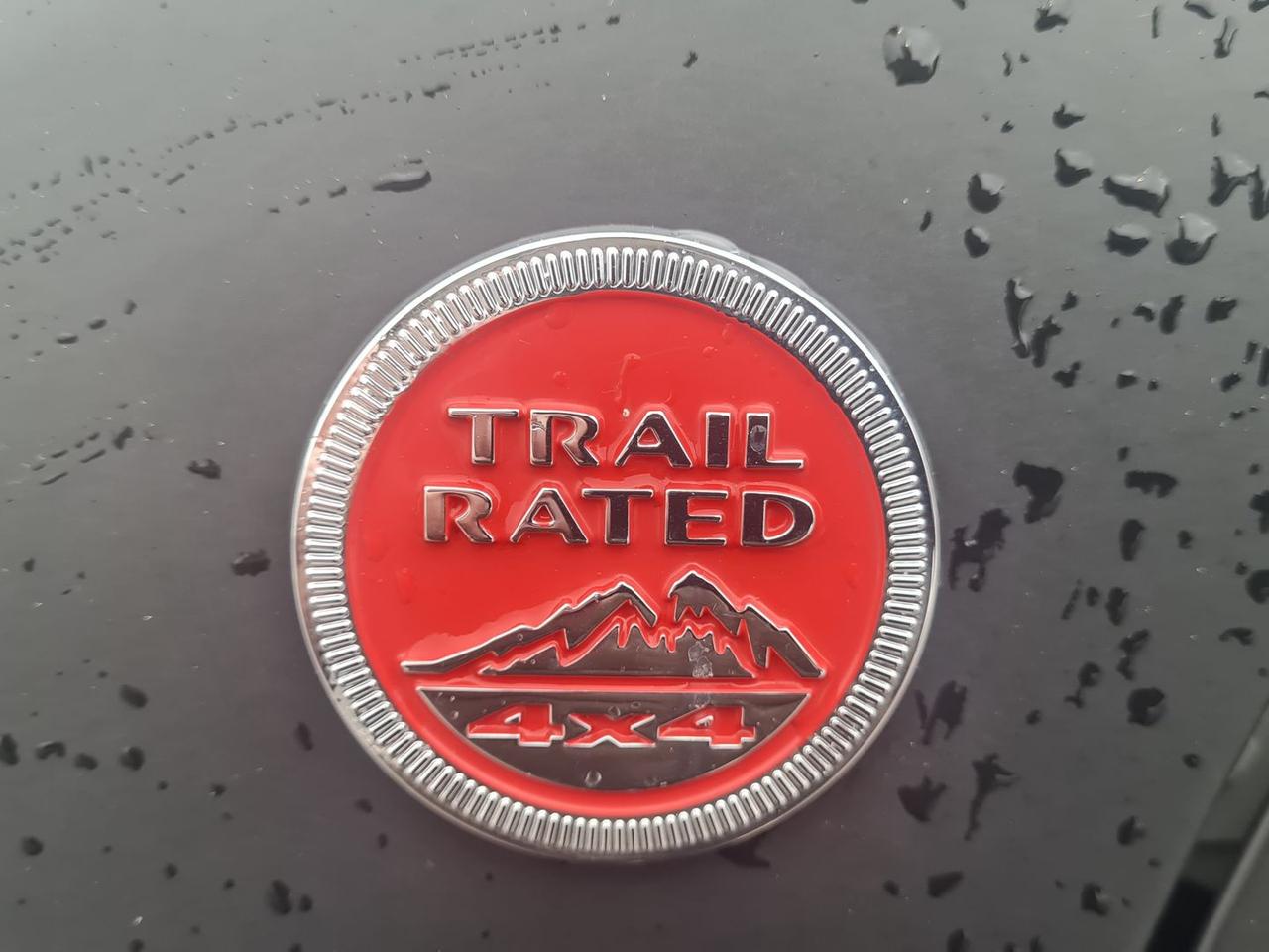 Jeep Renegade 2.0 Multijet Trailhawk #8044