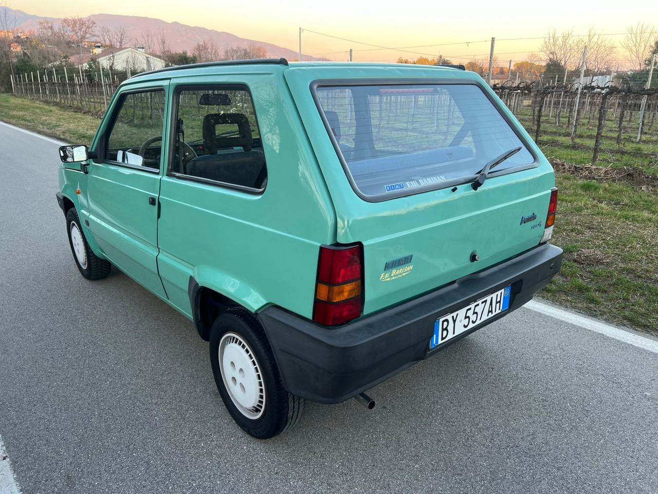 Fiat Panda 1100 i.e. cat Young