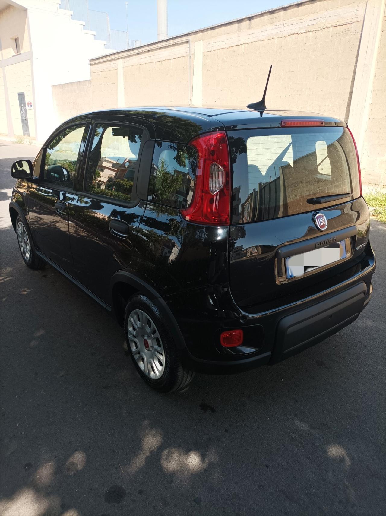 Fiat Panda 1.0 FireFly S&S Hybrid - 2023