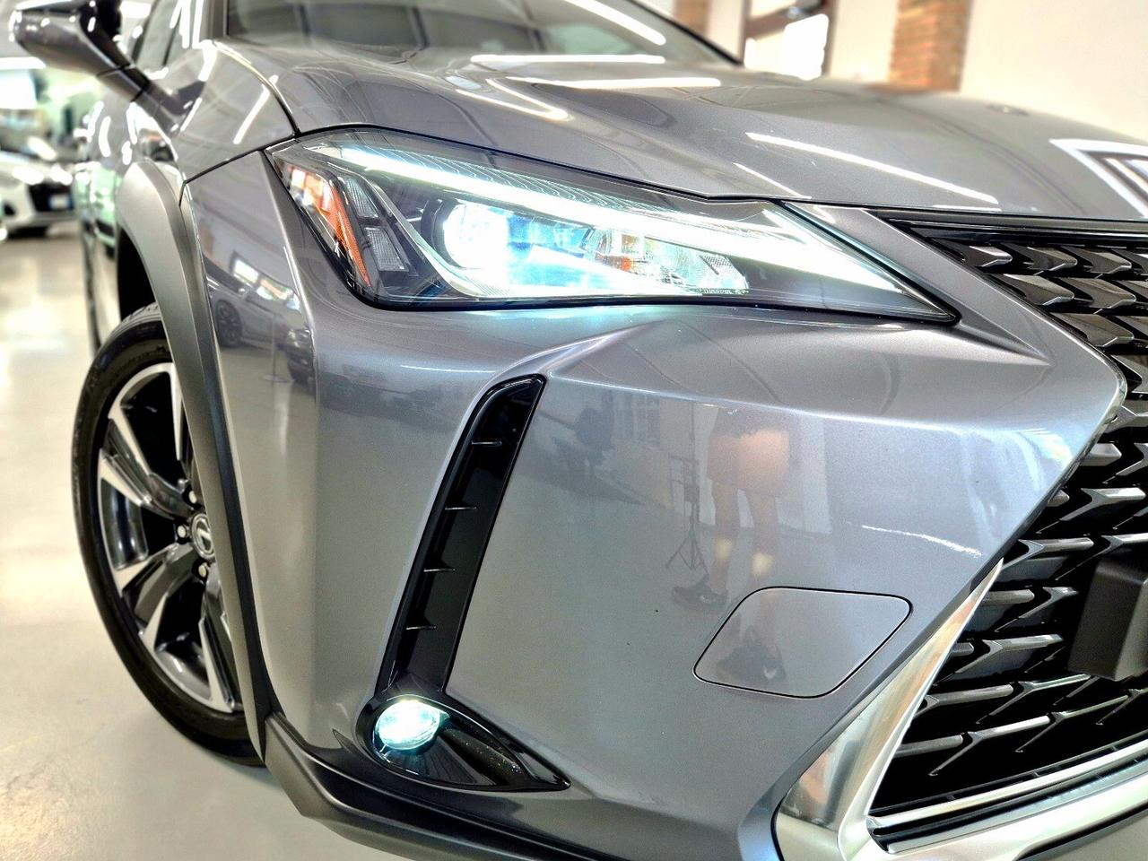 Lexus UX Hybrid 4WD Business
