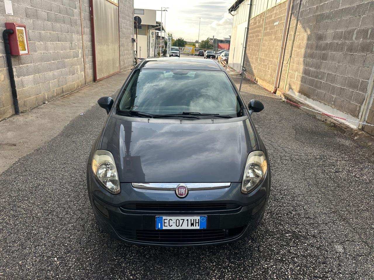 Fiat Punto Evo 1.2 5 porte Dynamic NEOPATENTATI