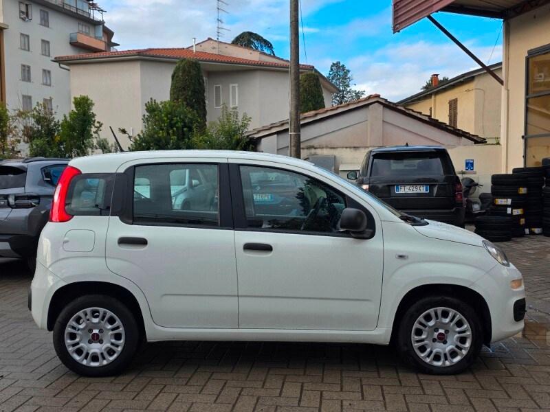 FIAT Panda 3ª serie Panda 1.2 Easy