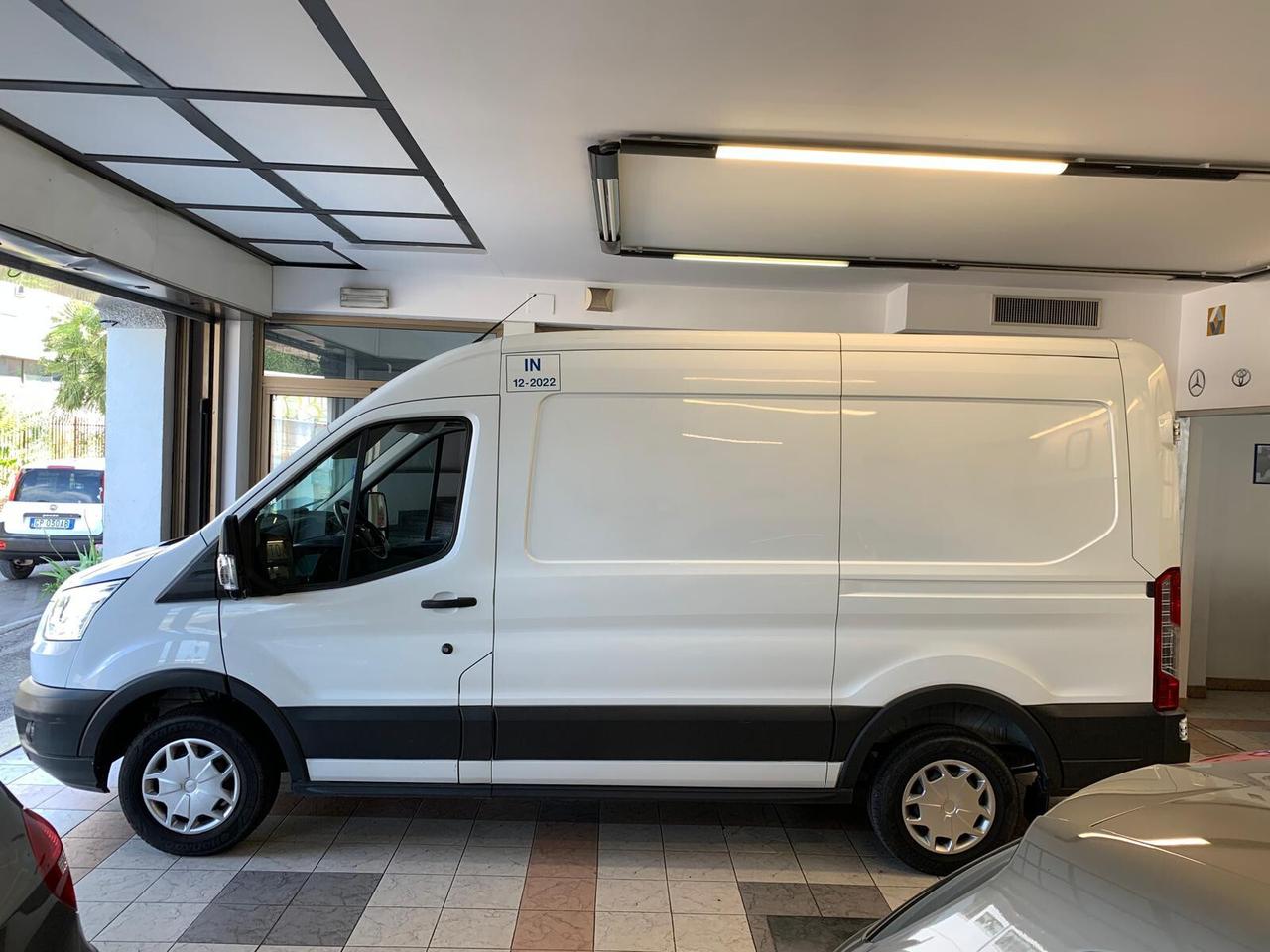 FORD TRANSIT FURGONE ISOTERMICO