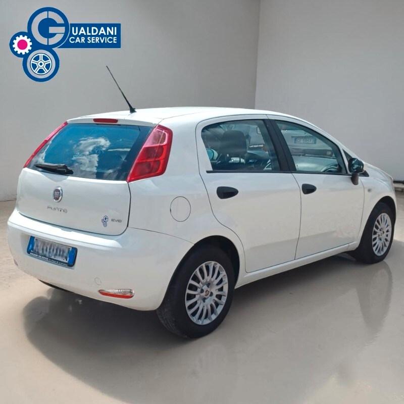 FIAT Punto 4ª serie Punto 1.2 8V 5 porte Street