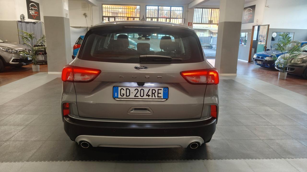 Ford Kuga 1.5 EcoBlue 120 CV aut. 2WD Titanium Business