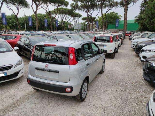 FIAT Panda 1.2 Easy CLIMA OK NEOPATENTATI