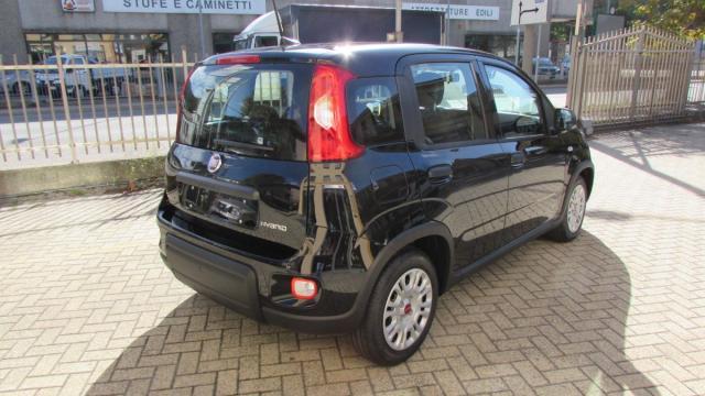 FIAT - Panda - 1.0 FireFly S&S Hybrid .