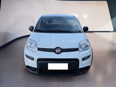 FIAT Panda My23 1.0 70cv Hybrid Panda