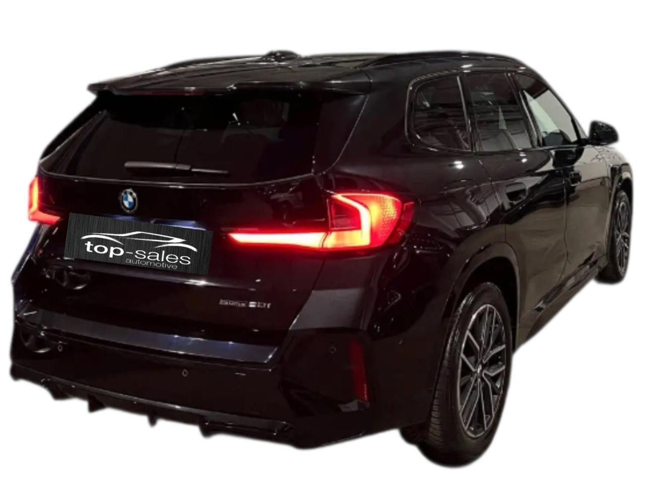 Bmw X1 sDrive 20i Msport Perfetta