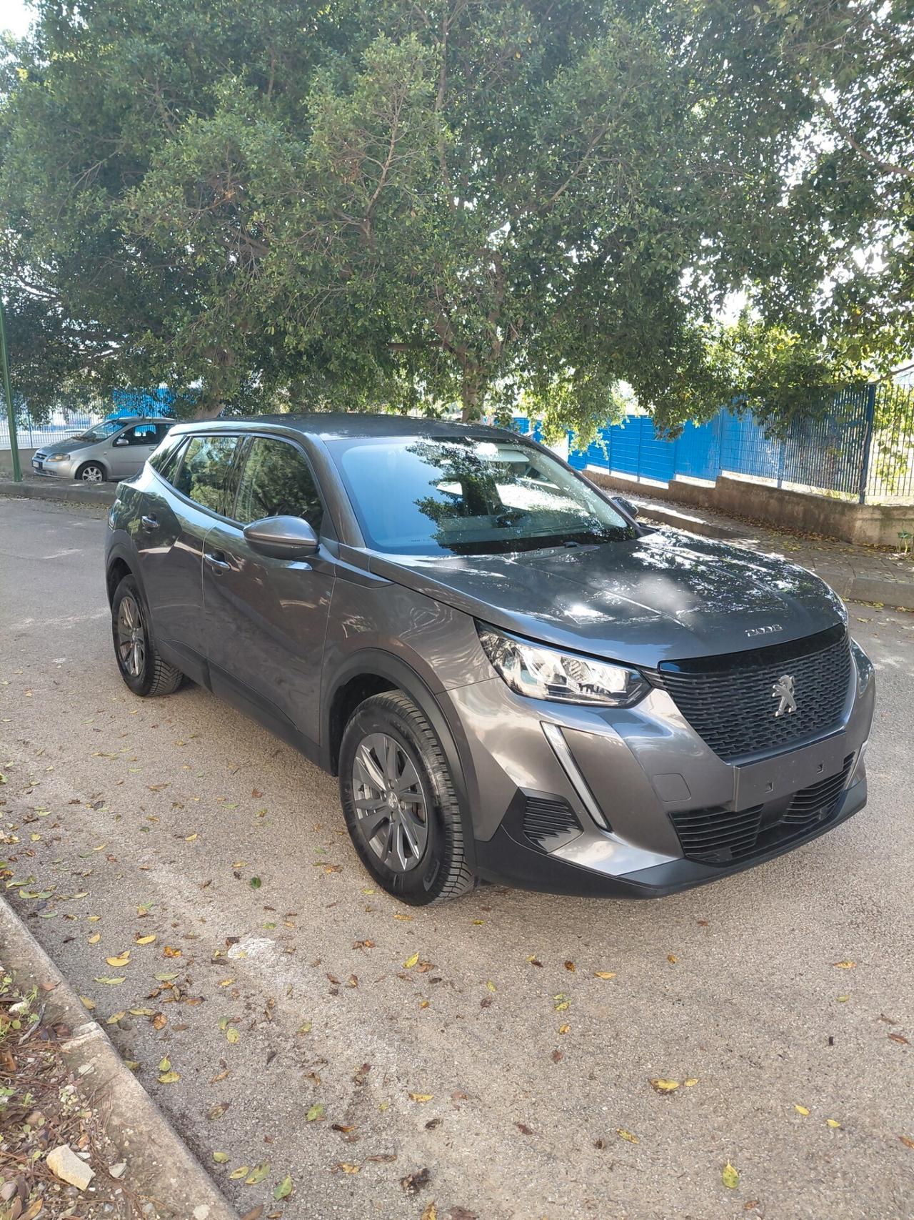 Peugeot 2008 BlueHDi 110 S&S Active Pack