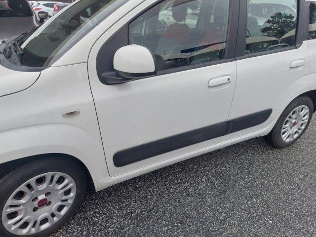 FIAT Panda 1.2 Lounge GPL Lounge Distribuzione ok km 89000