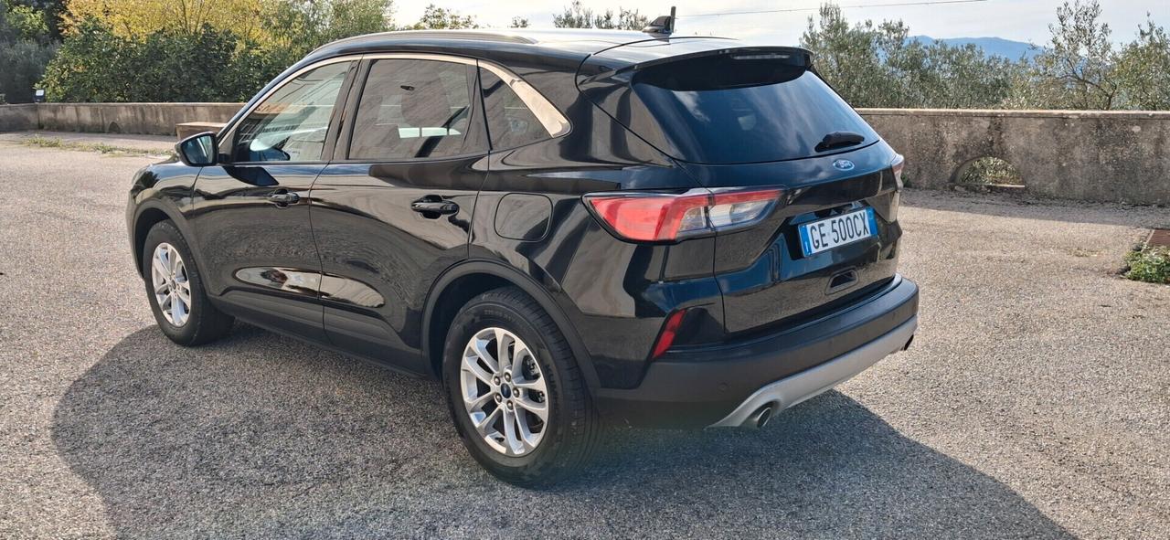 Ford Kuga 1.5 EcoBlue 120 CV 2WD Titanium