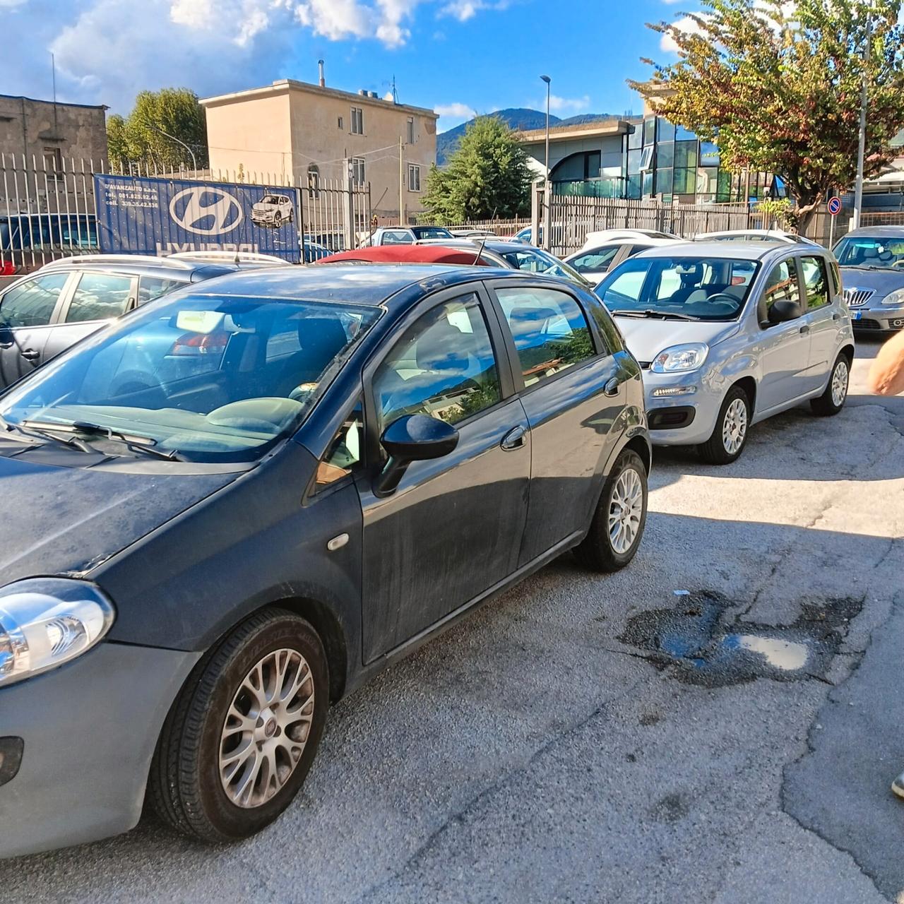 Fiat Punto 1.3 MJT II S&S 95 CV 5 porte Easy