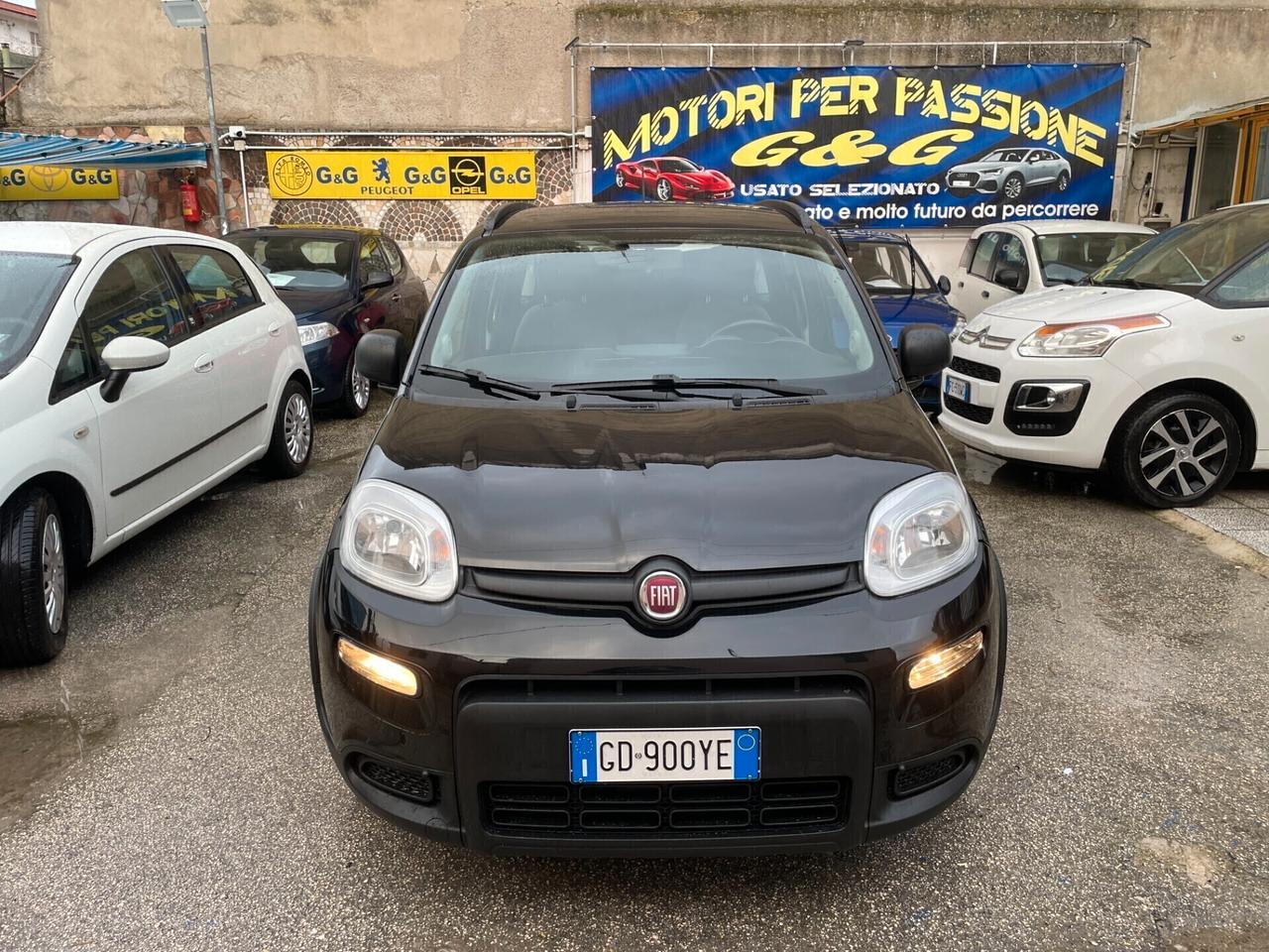 Fiat Panda 1.0 FireFly S&S Hybrid Sport
