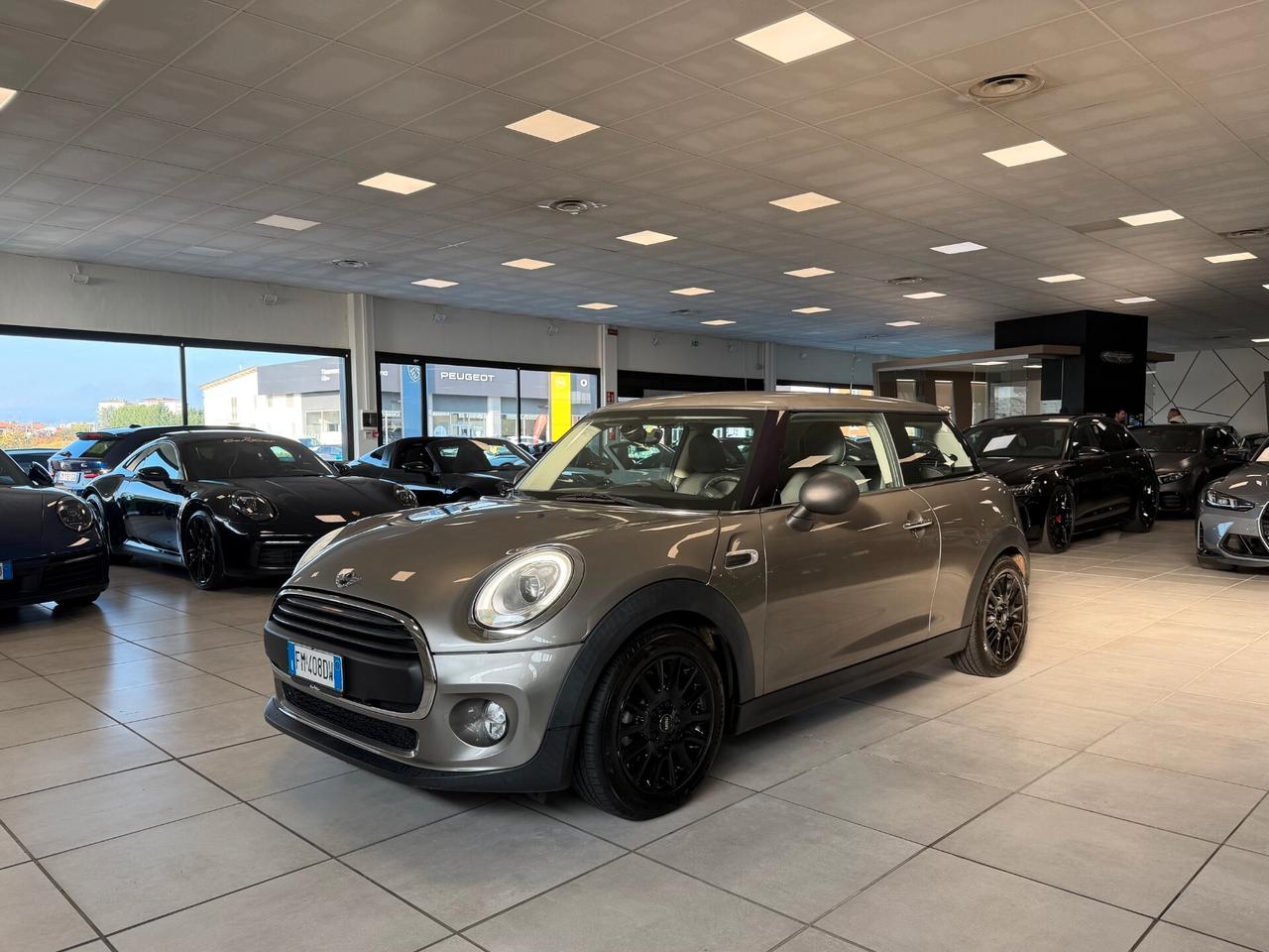 Mini 1.5 One D hype