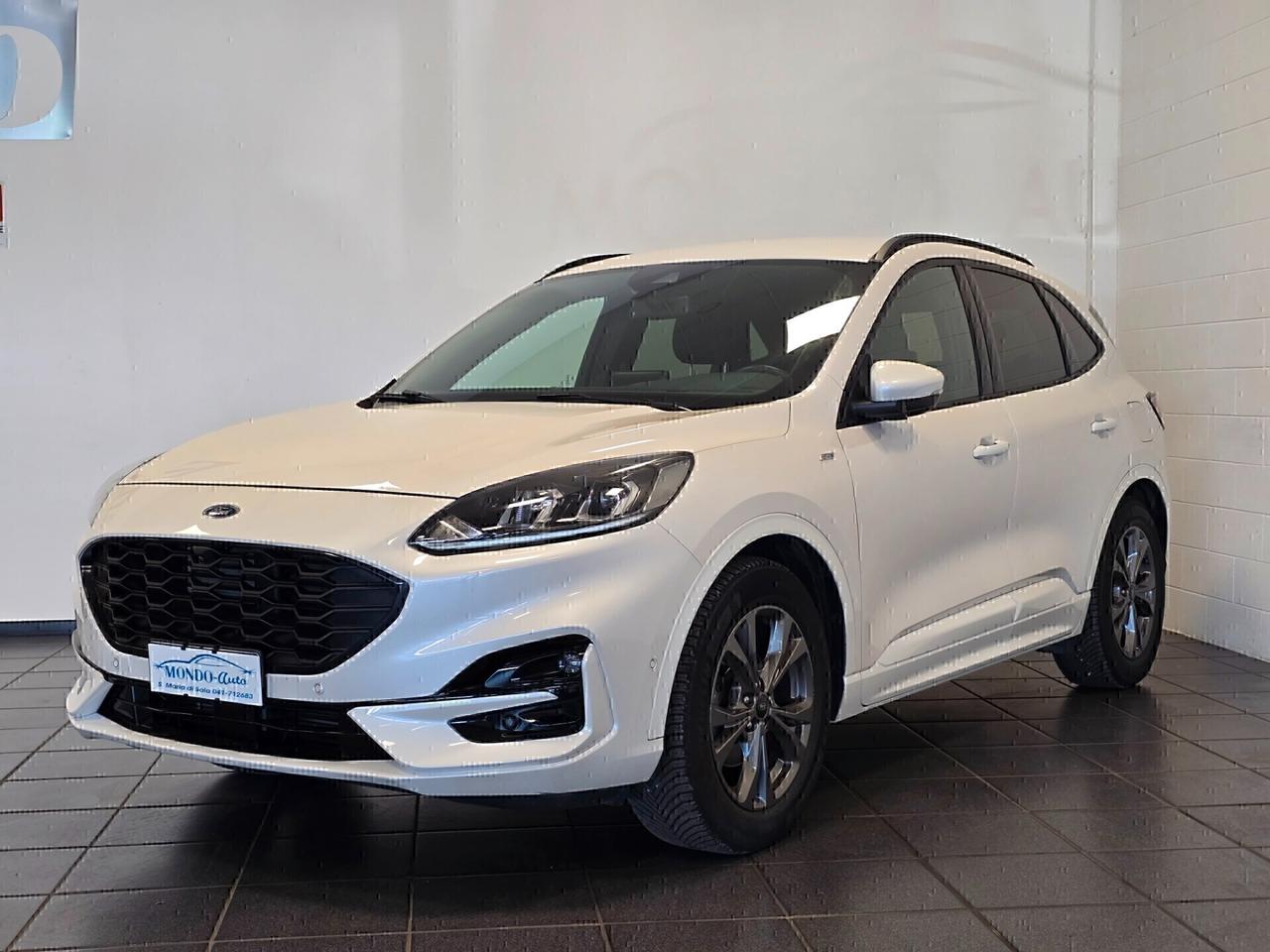 Ford Kuga 1.5 EcoBlue 120 CV aut. 2WD ST-Line X 2020