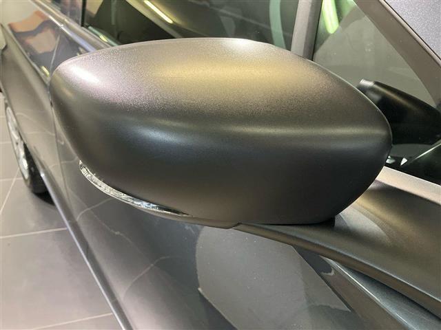 RENAULT ZOE Life R110 e-shifter Omolg N1 Autocarro!
