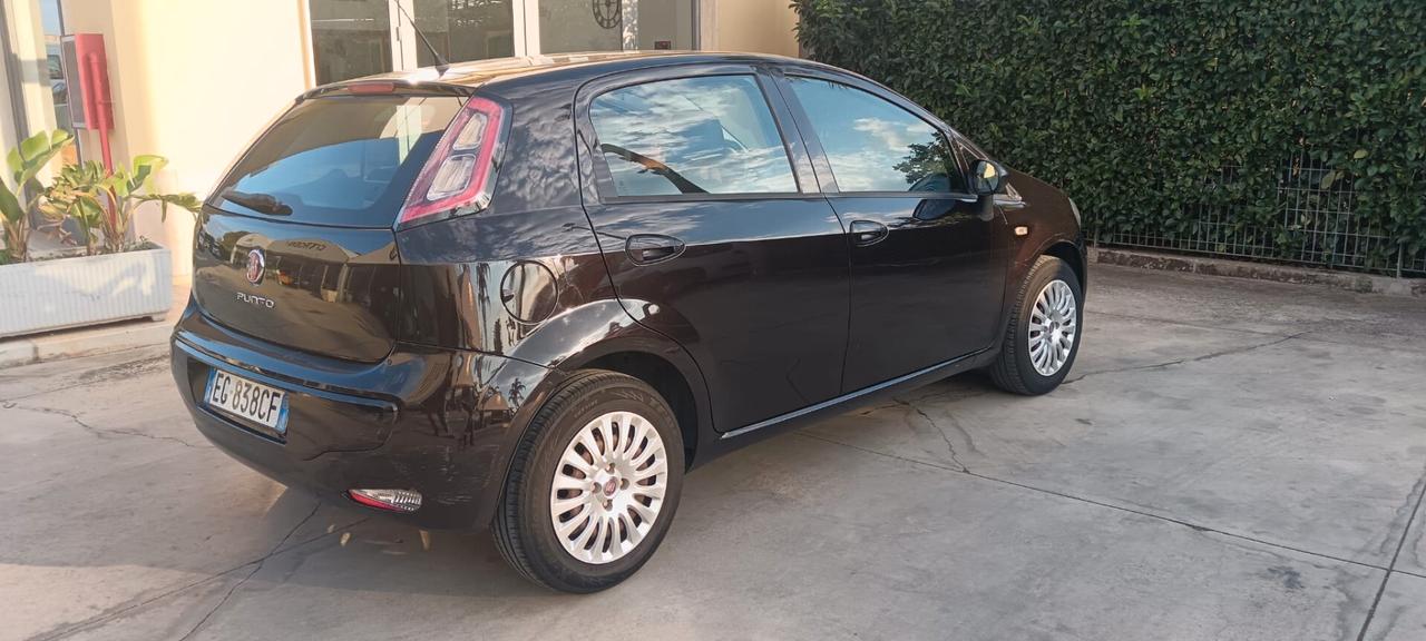 Fiat Punto Evo 1.2 5 porte S&S Active