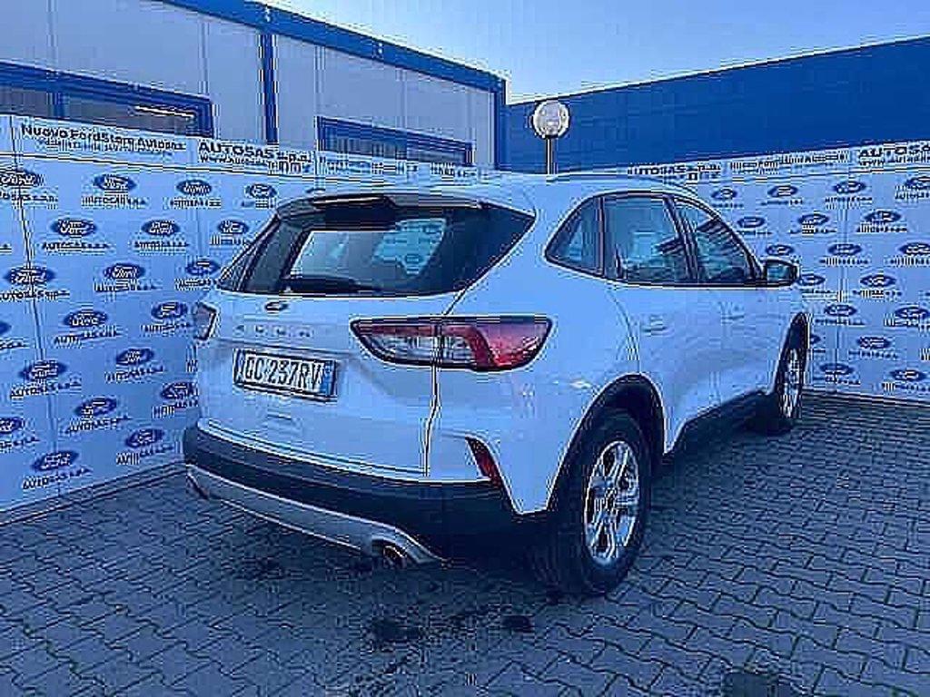 FORD Kuga 1.5 EcoBlue 120 CV 2WD Titanium Business del 2020