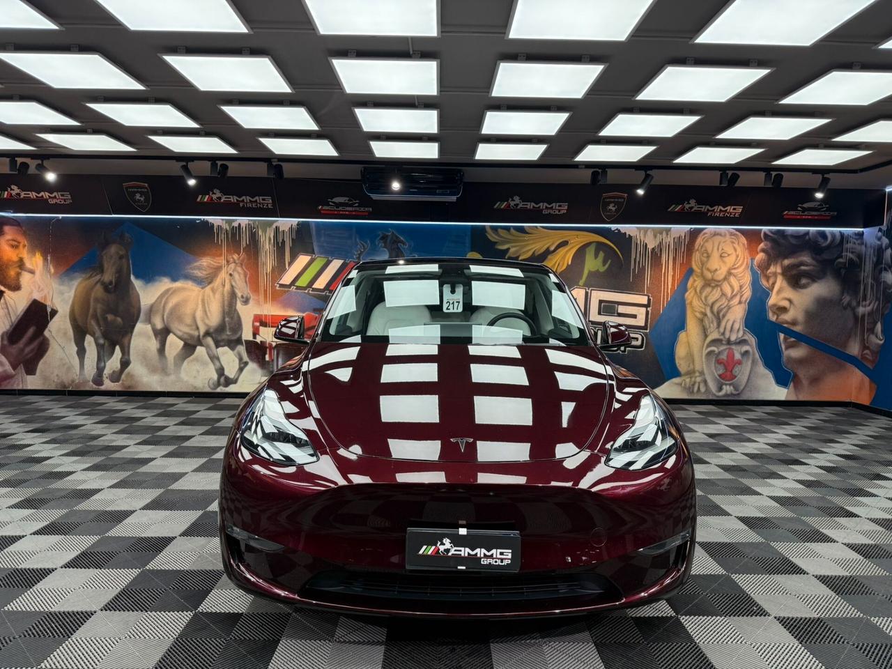 Tesla Model Y AWD Performance (423)