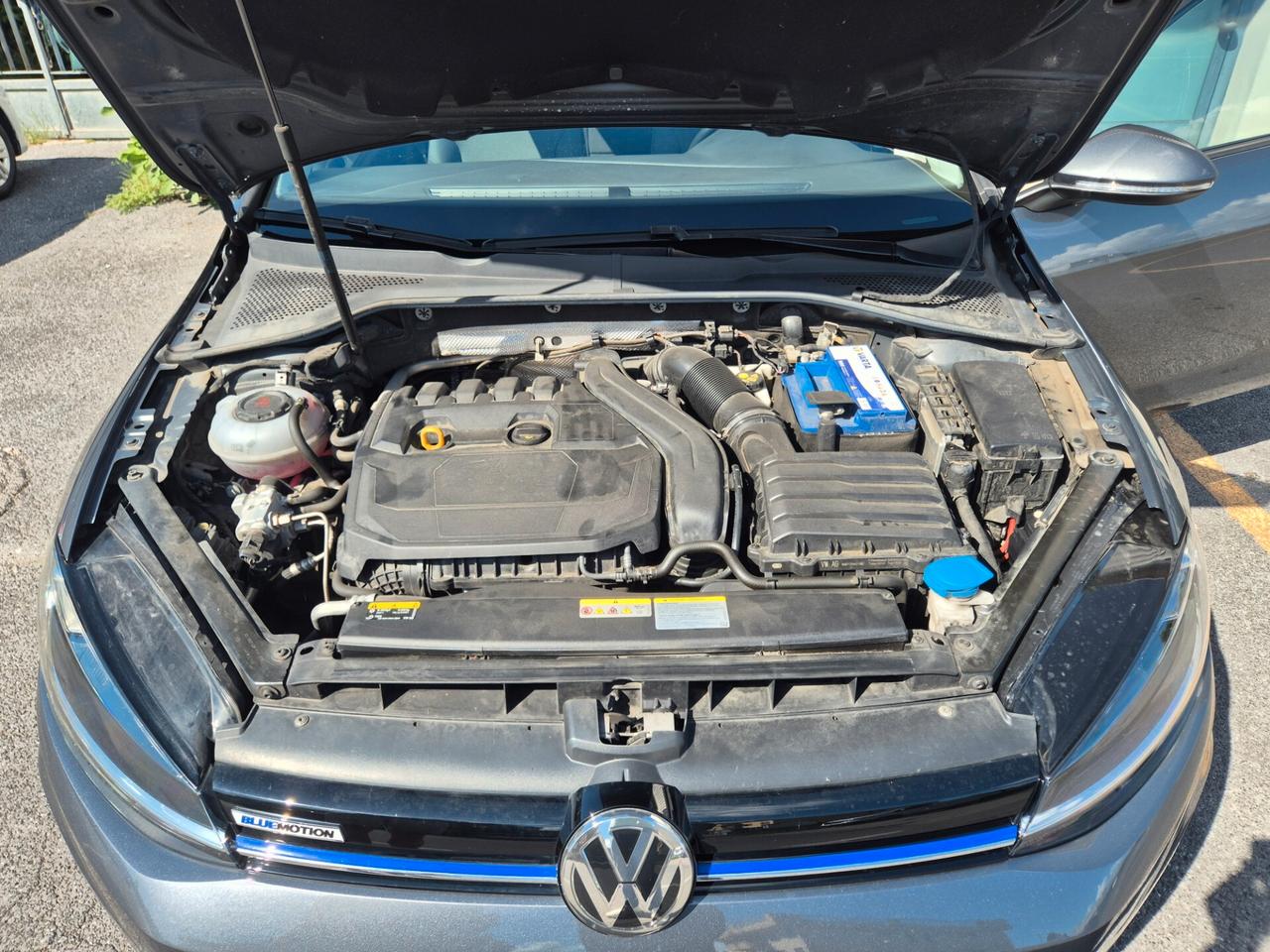 Volkswagen Golf Variant 1.5 TGI DSG 5p. Executive BlueMotione Tech.