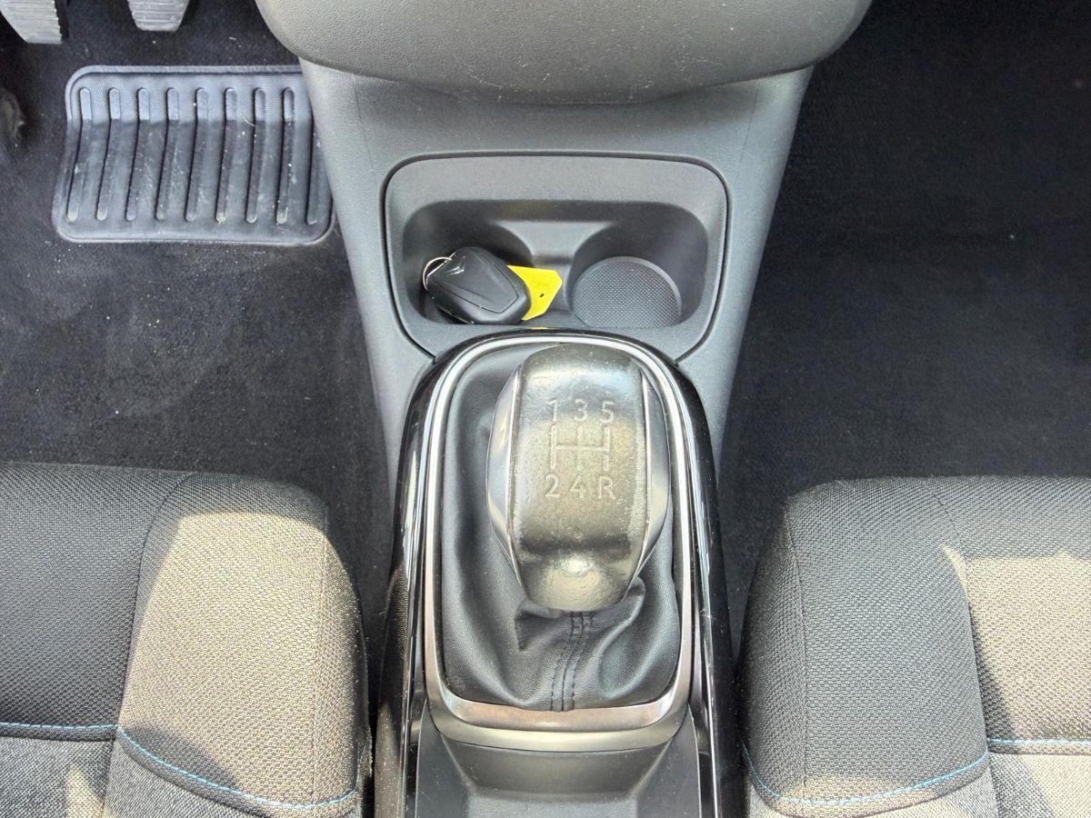 CITROEN - C4 Cactus - PureTech 110 S&S Shine