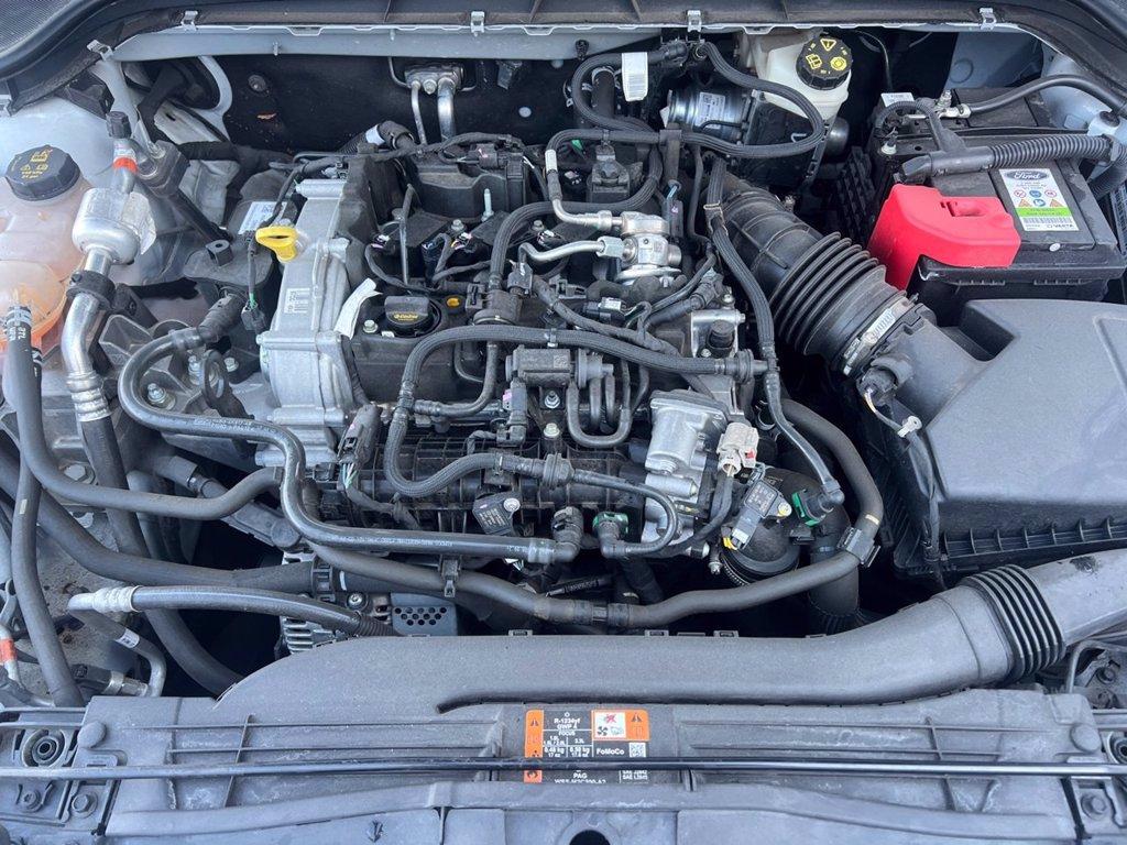 FORD Focus 1.0 EcoBoost Hybrid 125 CV 5p. Active del 2022