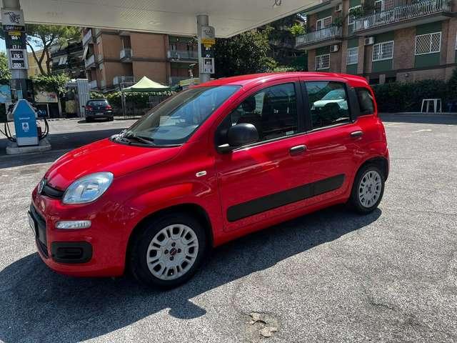 Fiat Panda Panda III 2016 1.2 Easy easypower Gpl 69cv