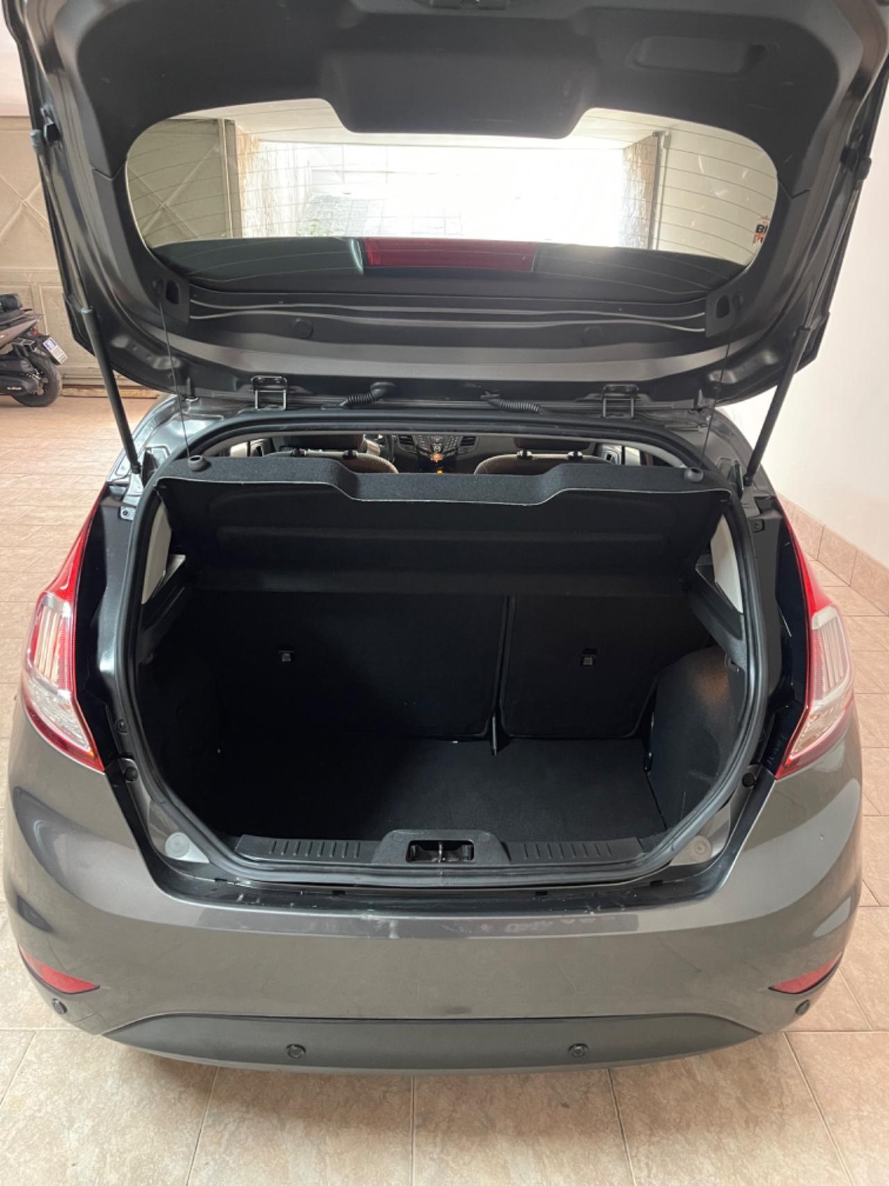 Ford Fiesta 1.5 TDCi 95CV 5 porte Titanium