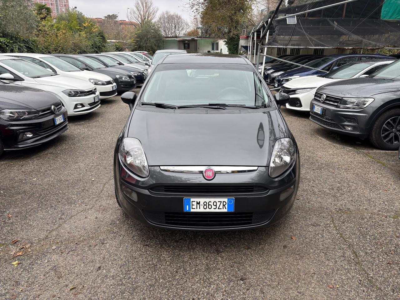 Fiat Punto Evo 1.3 Mjt 75 CV 5 porte Dynamic ok Neopatentati