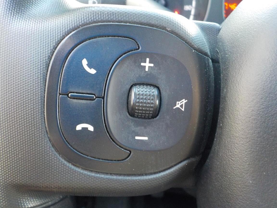 Fiat Panda 1.0 FireFly S&S Hybrid City Cross