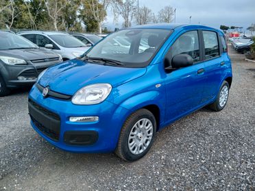 Fiat Pandina 1.0 FireFly 65 CV Hybrid Icon