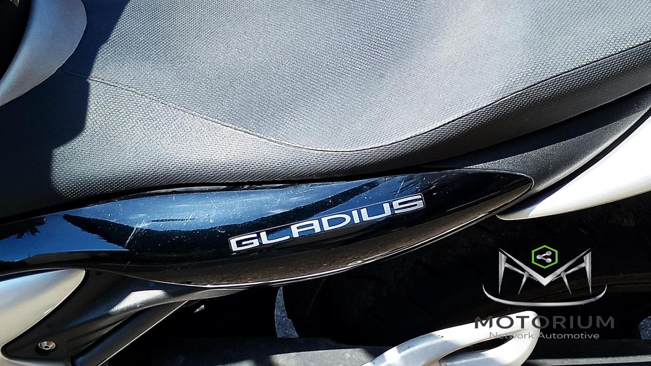 Suzuki Gladius 650