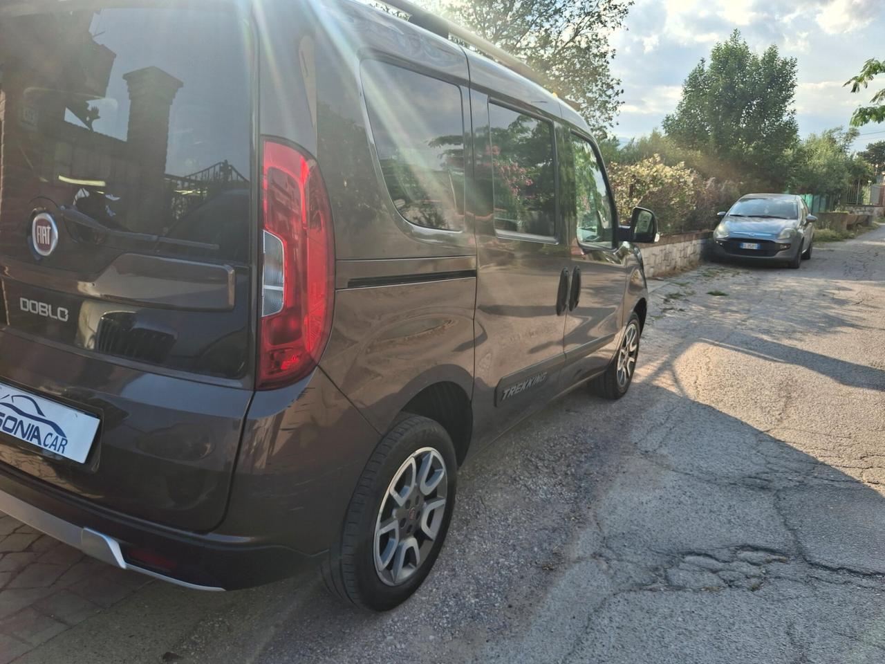 Fiat Doblo Doblò 1.6 MJT 16V 120CV Trekking