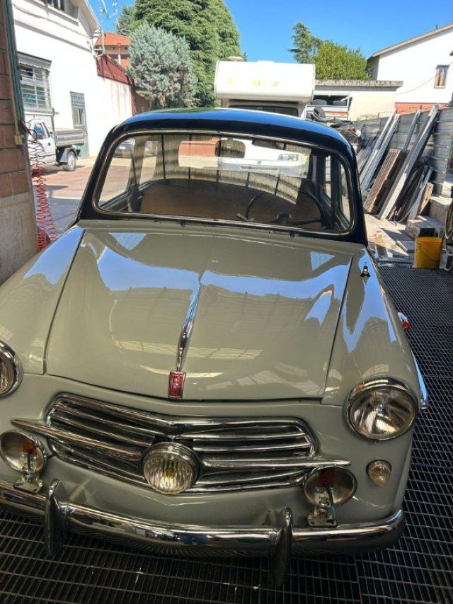 FIAT 1100 103 tv