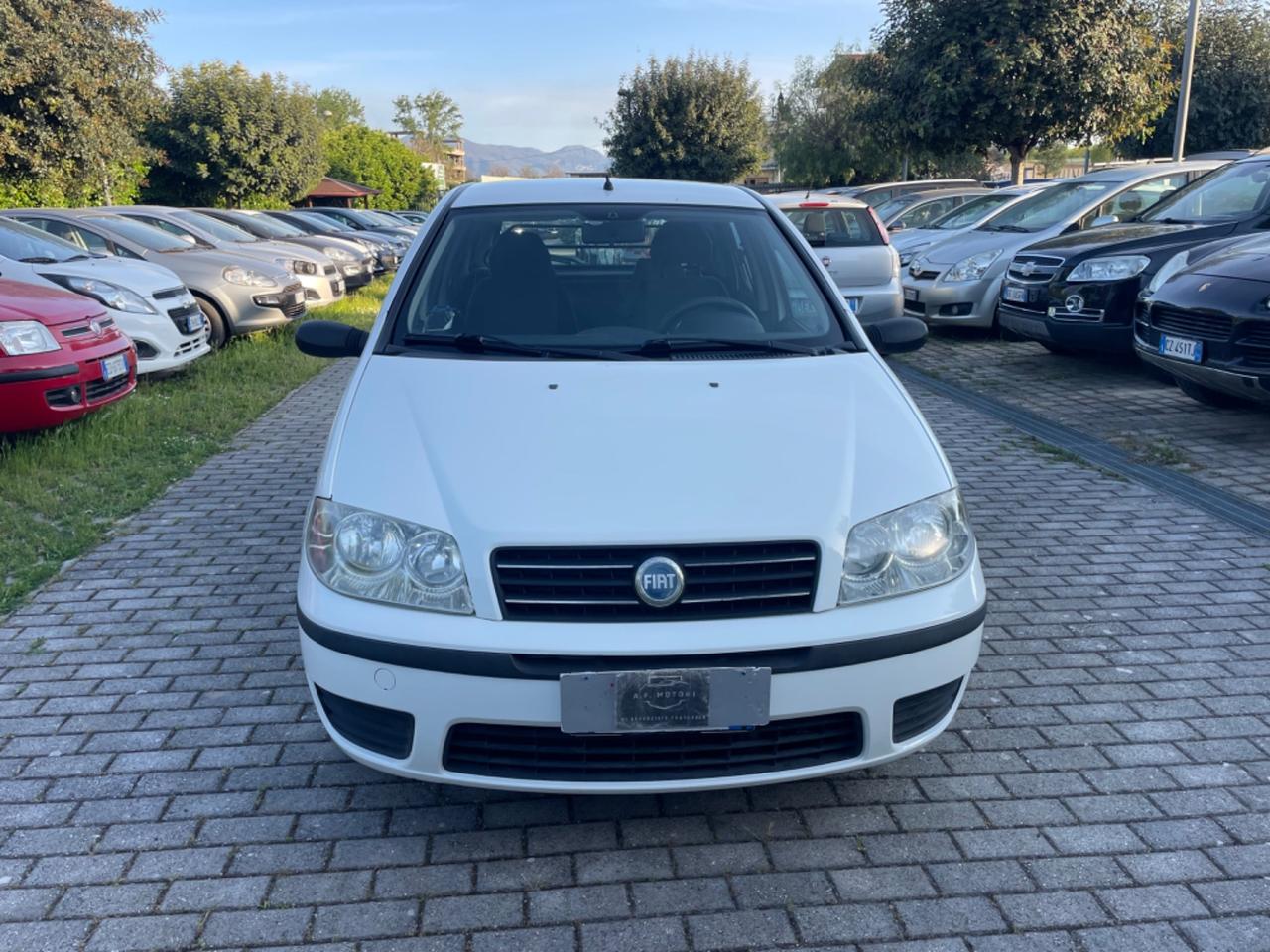 Fiat Punto 1.3 Multijet 16V 5 porte Dynamic Autocarro 4p.ti