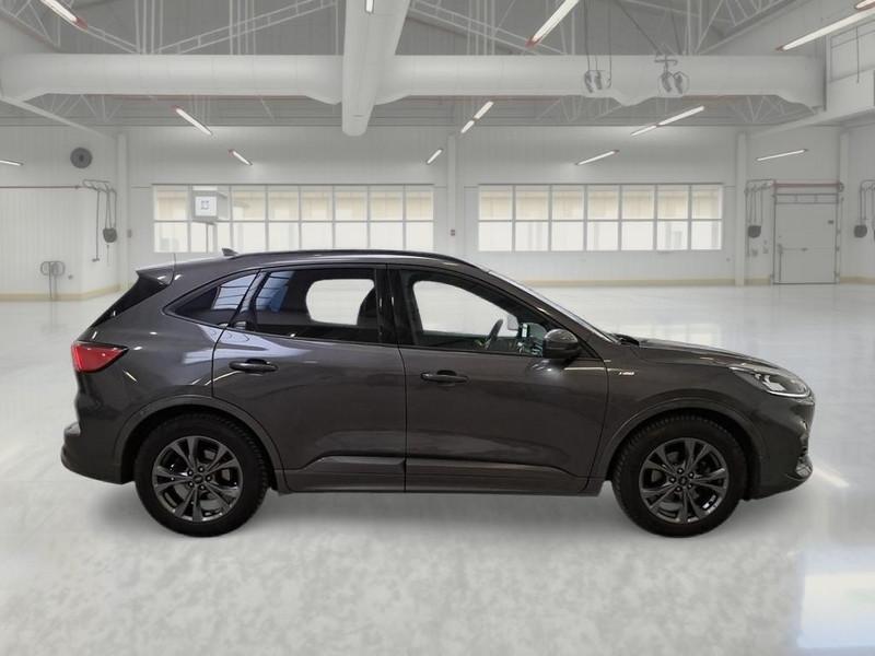FORD KUGA 1.5 EcoBlue 120CV 2WD ST-Line X Auto