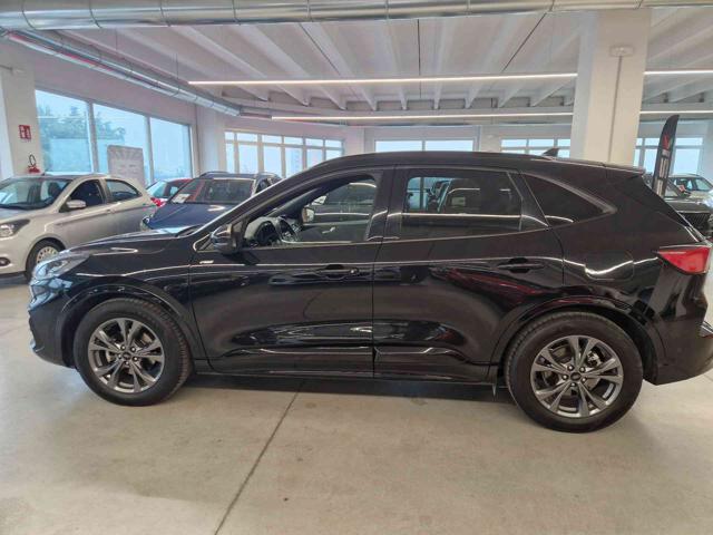FORD Kuga 2.0 EcoBlue 120 CV aut. 2WD ST-Line X