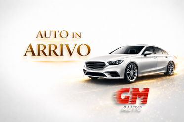 FIAT Doblo cargo 1.3 mjt 95cv CH1 Easy S&S