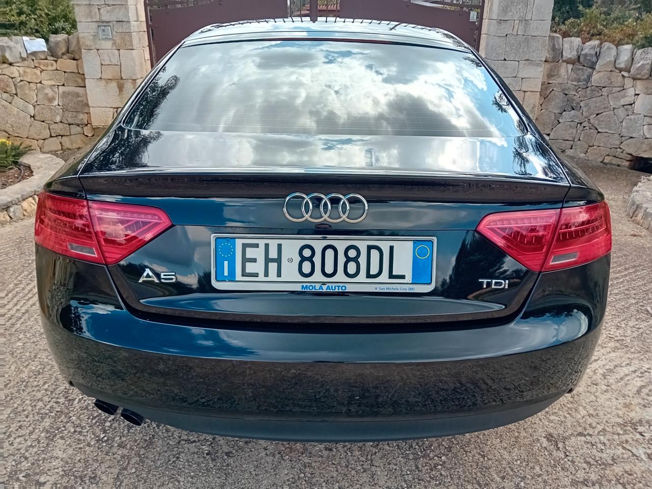 Audi A5 SPB 2.0 TDI 177 CV
