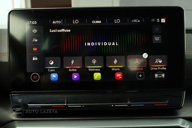 CUPRA Formentor 2.0 TSI 4Drive TETTO APRIBILE DSG 4x4