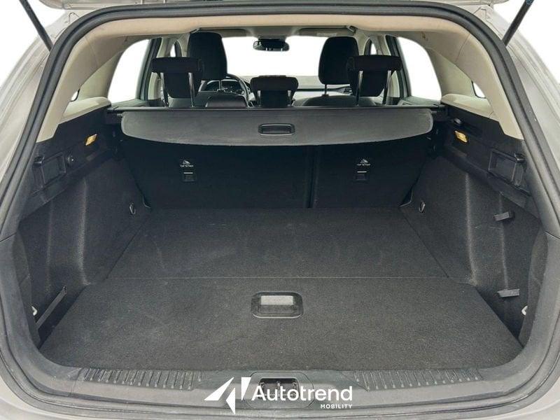 Ford Focus 1.5 EcoBlue 120 CV Automatico SW Business Co-Pilot