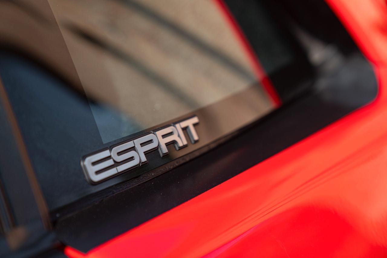 Lotus Esprit TURBO SE “HIGH WING” - RDS01630