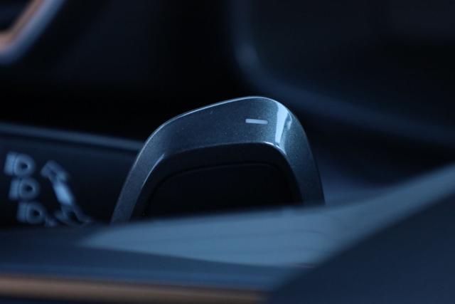 CUPRA Formentor 1.5 TSI DSG SEDILI SPORTIVI FULL PELLE