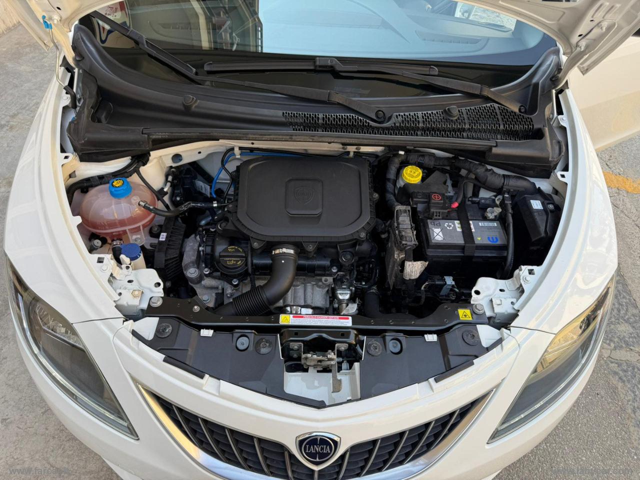 LANCIA Ypsilon 1.0 FireFly 5pS&S Hyb. Eco Silv.