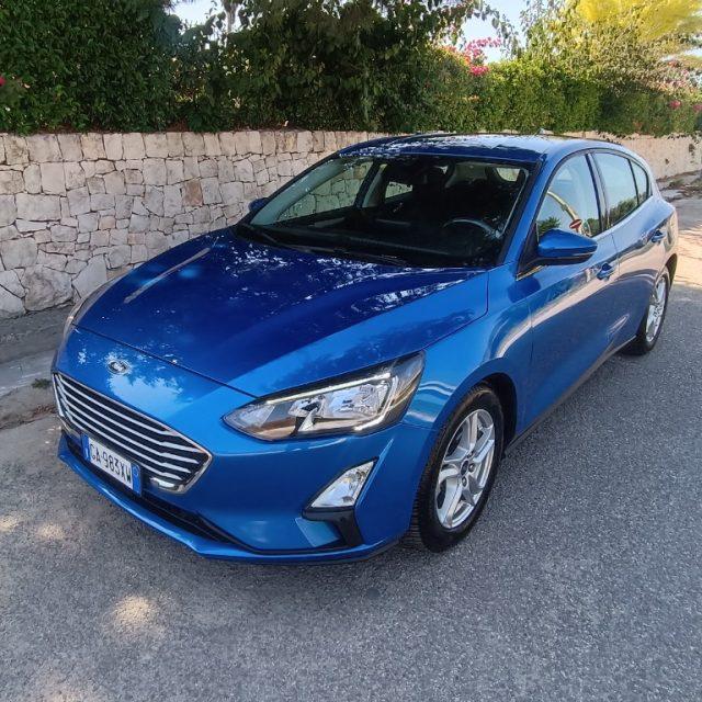 FORD Focus 1.5 EcoBlue 120 CV 5p. Business