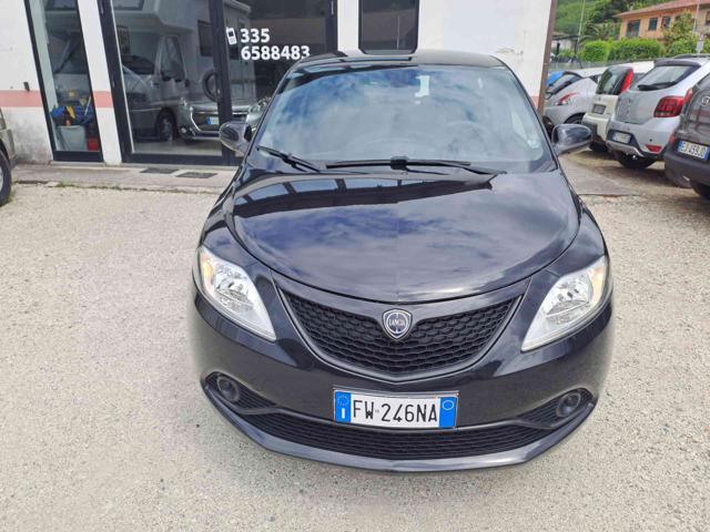 LANCIA Ypsilon 1.2 69 CV 5 porte GPL Ecochic Elefantino